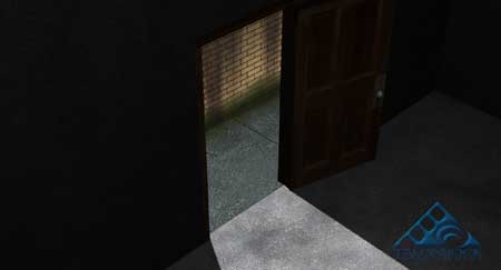 the dark room