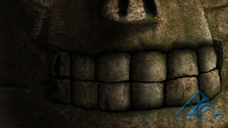 the skull
