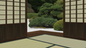 the dojo